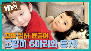 ‘꼬마 집사’ 윤슬이와 고양이 6마리의 사랑스러운 일상! I TV동물농장 (Animal Farm) | SBS Story