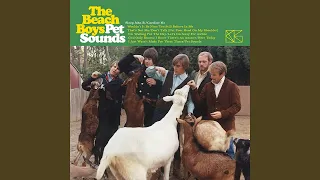 The Beach Boys - God Only Knows (Instrumental Mix & Backing Vocals)