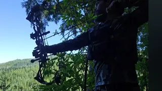 Called a Bull into 15 yards...Elk Archery Season 2023, part 7