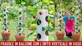 ALWAYS READY  STRAWBERRIES WITH THE VERTICAL GARDEN - EASY VEGETABLE TUTORIAL ON BENEDETTA'S BALCONY