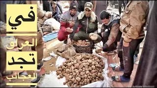 لحم فاطمة بدون عظام يتكون من الرعيد والمطر والرمل سبحان الله/محمد الدرويش