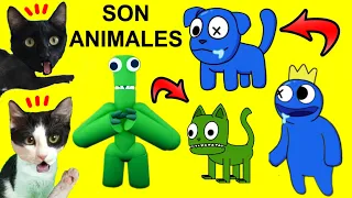 Rainbow Friends pero son animales reaccionando vs gatitos Luna y Estrella Video reacción en español