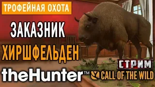 theHunter Call of the Wild #10 СТРИМ 🔫 - Заказник Хиршфельден - Трофейная Охота (Часть 2)