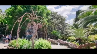 4min Stroll through Pandora Day/Night video | Walt Disney World | Animal Kingdom | POV | April 2024