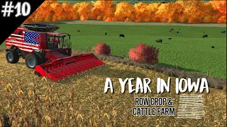 CAN YOU BELIEVE THIS CORN CROP?! | Monteith Iowa By Dr Modding