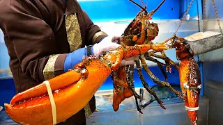 New York City Food - $400 GIANT LOBSTER Seafood Salad Park Asia NYC