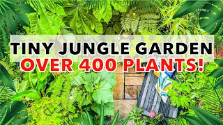 Small Tropical Jungle Garden Tour & Design Ideas with Simon Mabury