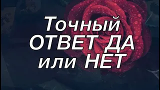 Точный ответ ДА или Нет ✅ Гадание на Таро он-лайн /Тиана Таро