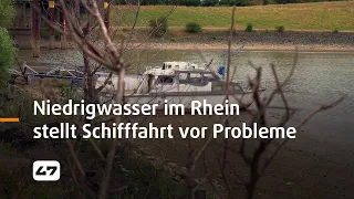 STUDIO 47 .live | NIEDRIGWASSER IM RHEIN STELLT SCHIFFFAHRT VOR PROBLEME