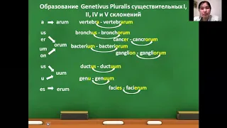 Образование Genetivus pluralis