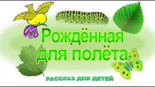 📗 "Рожденная для полета" ~ СЛАЙДЫ РАССКАЗ Христианский для ДЕТЕЙ 👧☀️