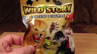 Wild Story Mystery Bag | Ashens