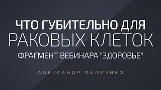 Что губительно для раковых клеток. Александр Палиенко.