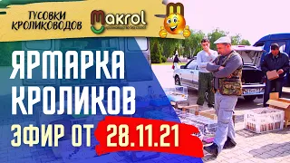 📢28.11.2021🐰Выставка-ярмарка кроликов в прямом эфире  Кропоткин #Макляк #Макрол