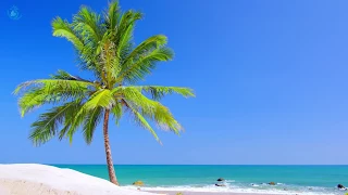 🔅 Tropical White Sand Beach with the Sound of Soothing Ocean Waves for Sleeping or Relaxation Enjoy!