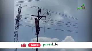 A Man Electrocuted During An Attempt To Save a Pigeon | Safety Measures