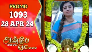 Anbe Vaa Promo 1093 | 28/4/24 | Review | Anbe Vaa serial promo | Anbe Vaa 1093