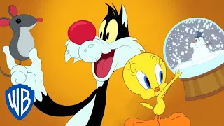 Looney Tunes auf Deutsch 🇩🇪 | Weihnachtseinkäufe mit Tweety und Sylvester 🎁 | WB Kids