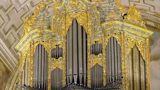 CABANILLES, organ works, Juan María Pedrero