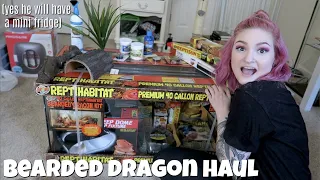 BEARDED DRAGON HAUL + SETTING UP ENCLOSURE 🌱🐉