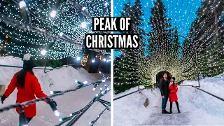 EXPLORING VANCOUVER'S MAGICAL LIGHT WALK: Peak of Christmas at Grouse Mountain // Nat and Max