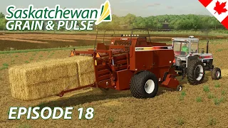 Hesston Square Baler is SO MUCH FASTER! - Saskatchewan Grain & Pulse - Episode 18 - FS22