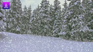 Winter Relaxing Music: Relaxing Music With Snow, Soothing Music