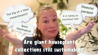 The Reality of Large Houseplant Collections: Practical Tips & Considerations