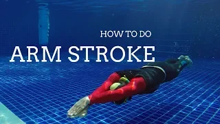Learn the PERFECT Arm Stroke for Beginner Freedivers | Freediving Pool Training