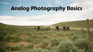 Analog Photography Basics & More