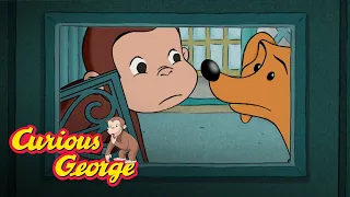 Cat Mother 🐵 Curious George 🐵Kids Cartoon 🐵 Kids Movies 🐵Videos for Kids