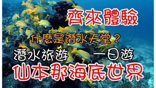 【SB 06】 一齊來體驗｜什麼是潛水天堂｜仙本那潛水一日遊｜仙本那的海底世界#qualityken #qualitydiving #亞庇 #仙本那#優越潛水