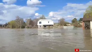 Поездка на нашу дачу которую затопило 🫣как и всех кз Петропавловск 🇰🇿