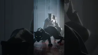 черная пантера. black panther.