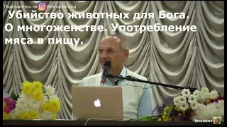 Торсунов О.Г.  Убийство животных для Бога.  О многоженстве. Употребление мяса в пищу.