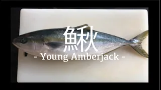 Cooking a Young Amberjack