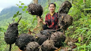 FULL VIDEO: Harvesting Ant Eggs, Sweet Potatoes, Eggplants, Bamboo Tubes Goes to the market to sell