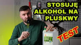 JAK POZBYĆ SIĘ PLUSKIEW ALKOHOLEM #pluskwy #pluskwa #odpluskwianie