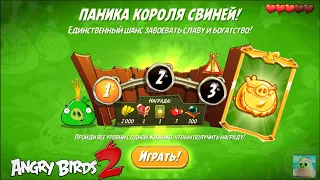 King Pig Panic/Паника короля свиней! 26/01/2022 Angry Birds 2.