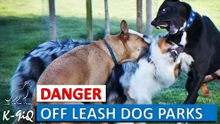 Off Leash Dog Park is a Danger 2020 - Dog Park Problems