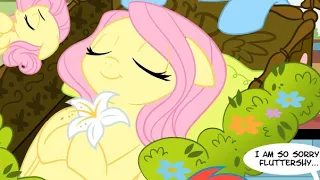 NEVER PRANK FLUTTERSHY (Dark Comedy)[AN MLP COMIC DUB]