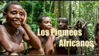 Los Pigmeos Africanos un Pueblo Conocido Por su Baja Estatura | TeofiloMediaTV