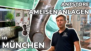 ANTSTORE - Our ant systems in Munich 🐜 Globetrotter, Werksviertel, Tierpark!