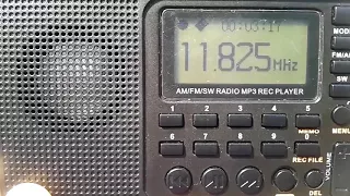 Voice of America 11825Khz in Mandarin - Tivdio V-115 - Romania