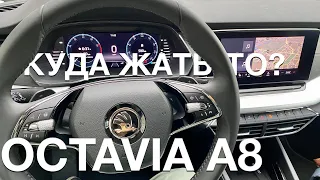 Skoda Octavia A8  - разбор всех функций и приколов (Куда жать-то Шкода Октавия 2021) | Carbrains