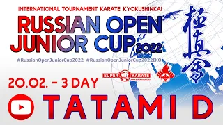 «Russian Open Junior Cup - 2022». ТАТАМИ D (3 день)