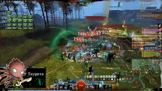 GW2 WvW - Greatsword Herald - Slashing Through Zergs