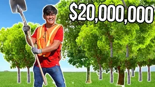 I Tried Planting 20,000,000 Trees (MrBeast & Mark Rober)
