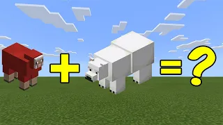 I Combined a Polar Bear and a Red Sheep in Minecraft - Here's WHAT Happened...