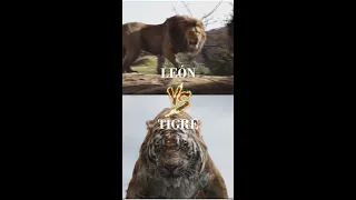 TIGRE vs LEÓN